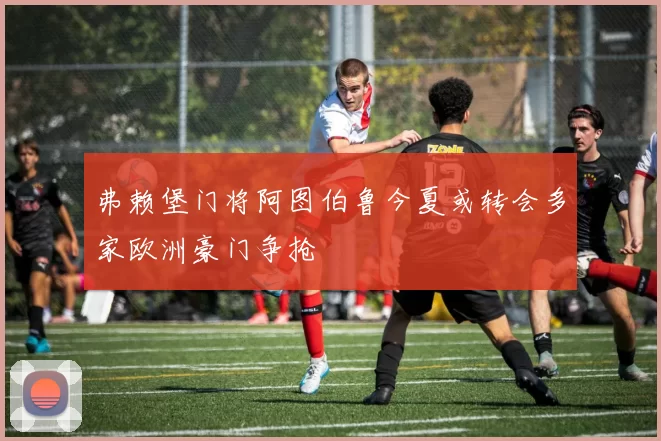 弗赖堡门将阿图伯鲁今夏或转会多家欧洲豪门争抢